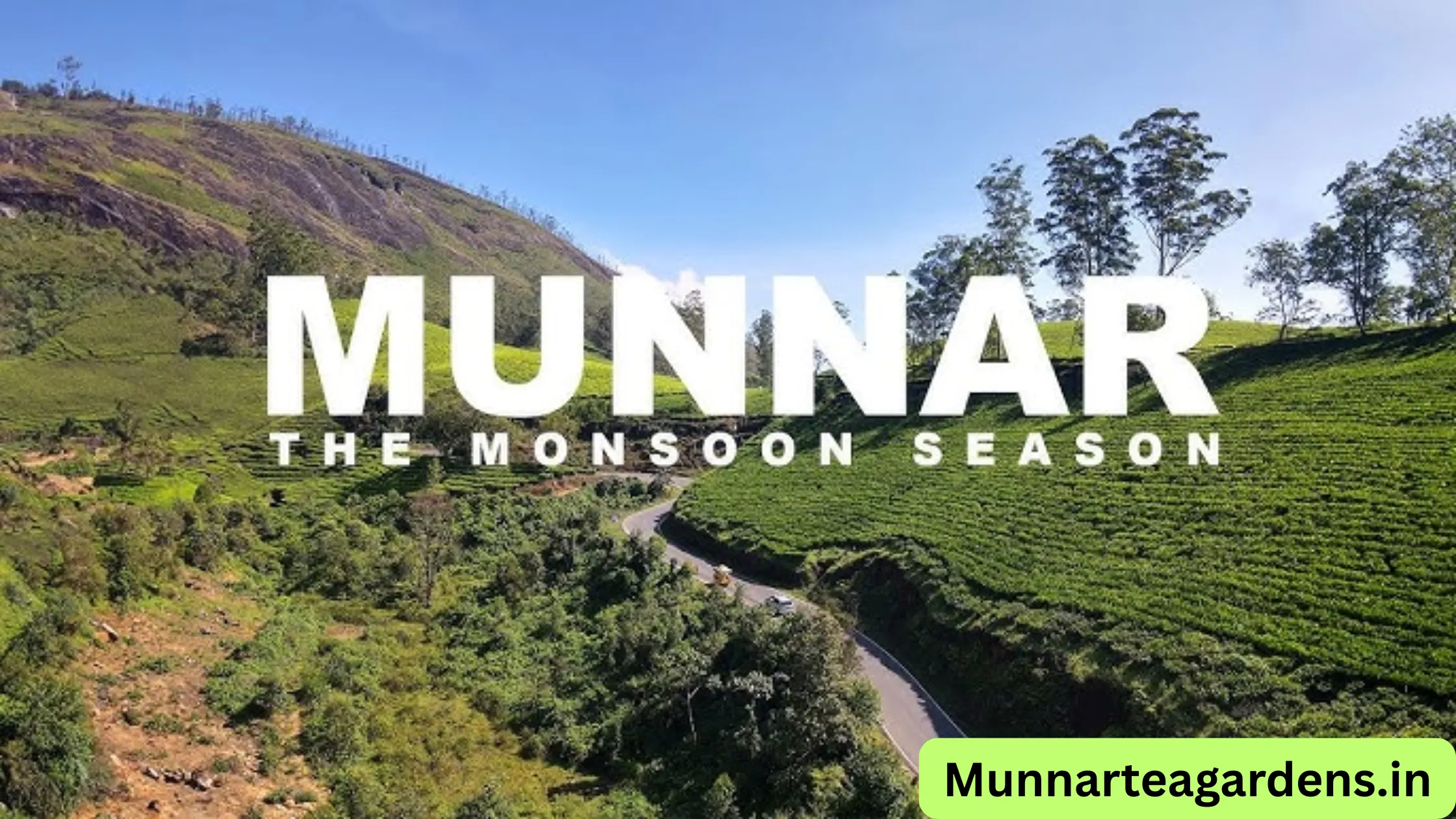 Are Munnar Tea Gardens Worth Visiting in Rainy Season