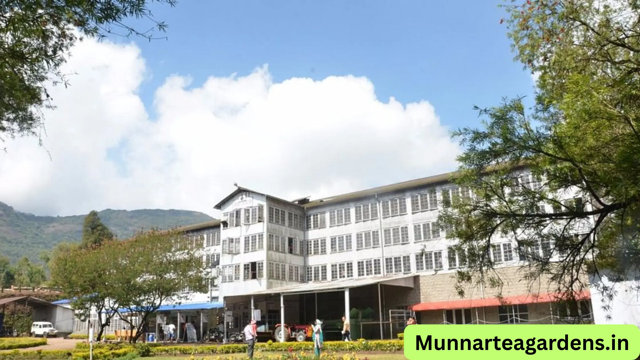 Lockhart tea estate Munnar visit details