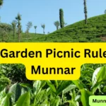 Tea Garden Picnic Rules in Munnar