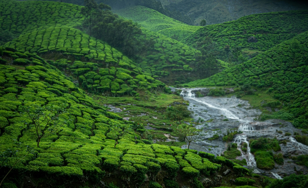 munnar monsoon